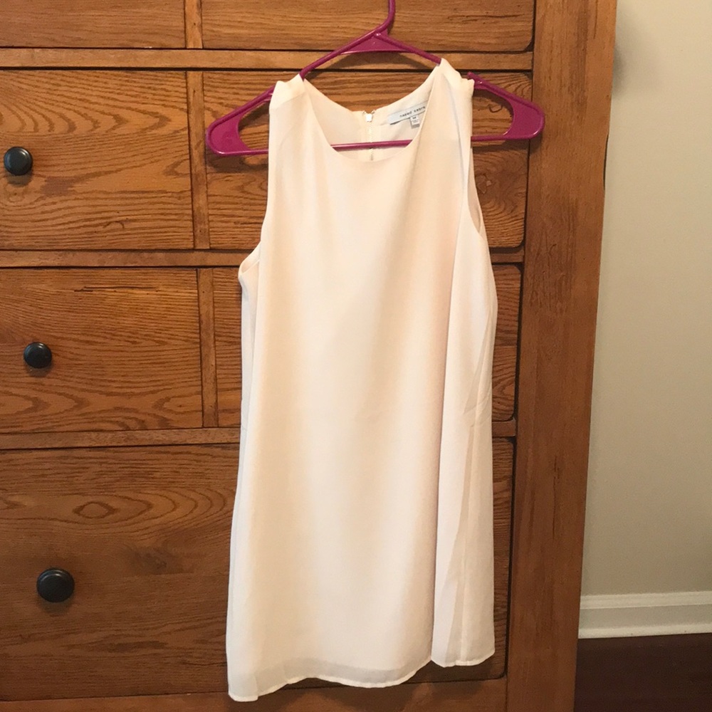 Naked Zebra dress